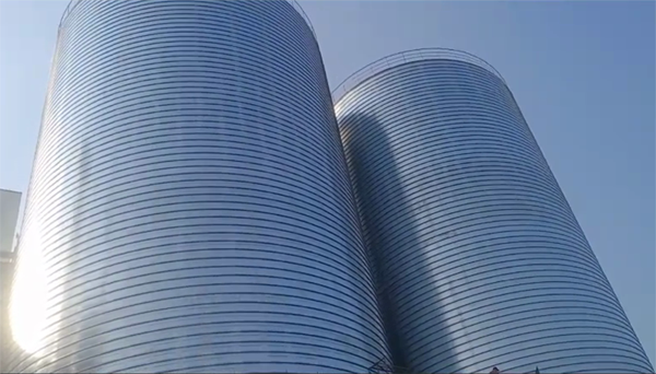 浙江2座混凝土高架卷板仓